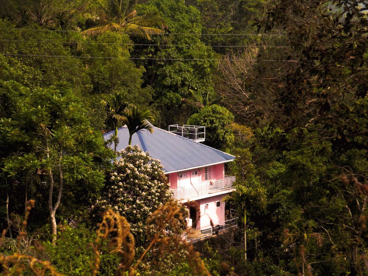 Drizzle Valley Cottage Munnar Ngoại thất bức ảnh